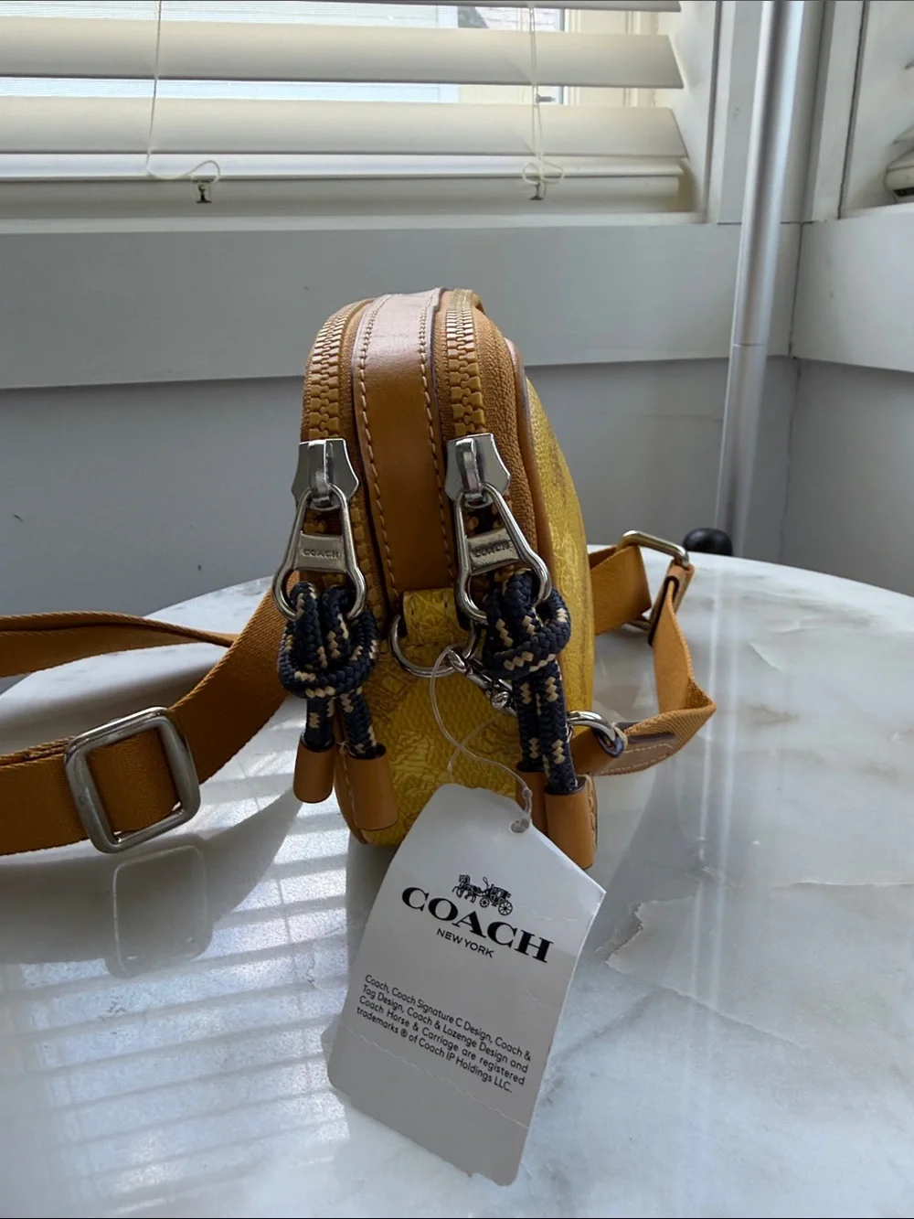 NWT Coach Crossbody Pouch